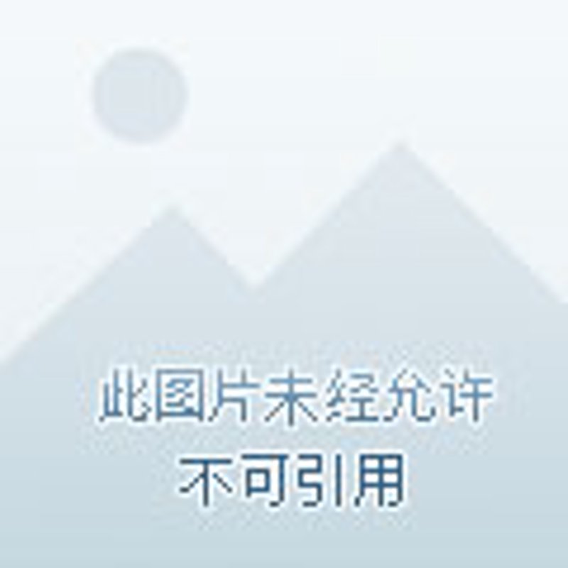 貂如商行：行业动态中的璀璨明珠